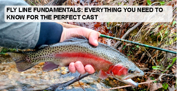 Fly Line Fundamentals: Everything You Need to Know for the Perfect Cast