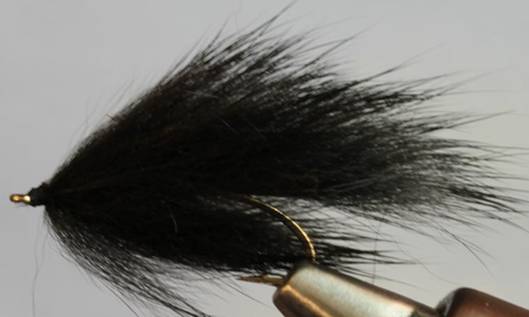 NEW - Leeches
