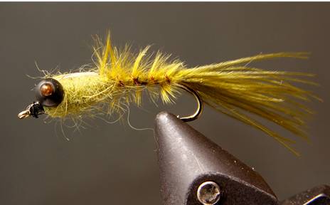 New - Damselfly Nymphs