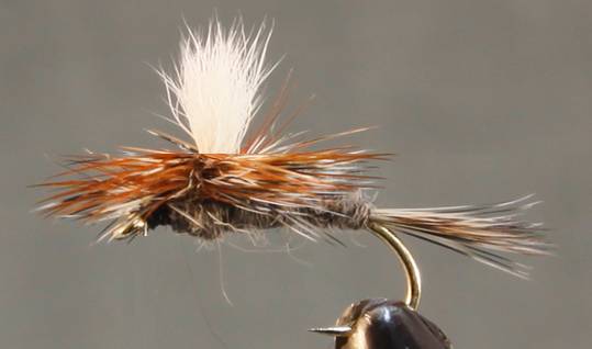 Parachute Adams fly image 2
