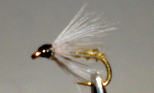 Biot Soft Hackle™ - BWO