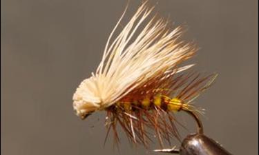 Yellow Elk Hair Caddis fly