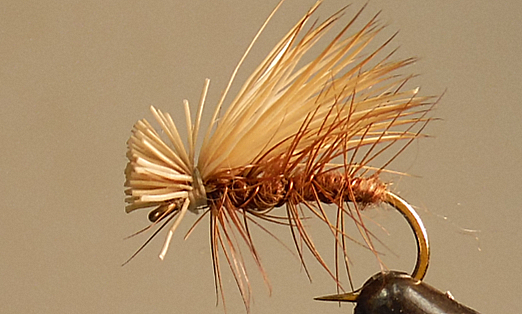 Brown Elk Hair Caddis fly