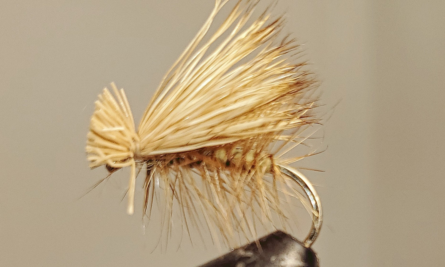 Olive Elk Hair Caddis fly