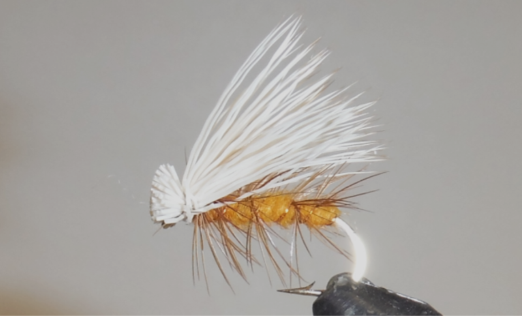 Orange Elk Hair Caddis fly