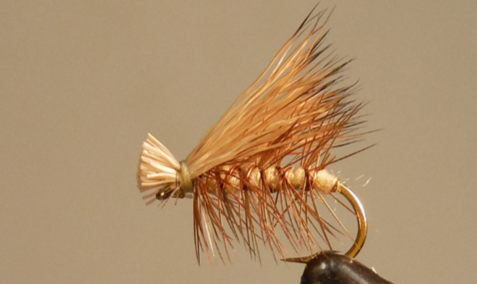 Tan Elk Hair Caddis fly