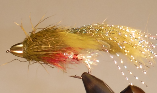 Kiwi Muddler Olive