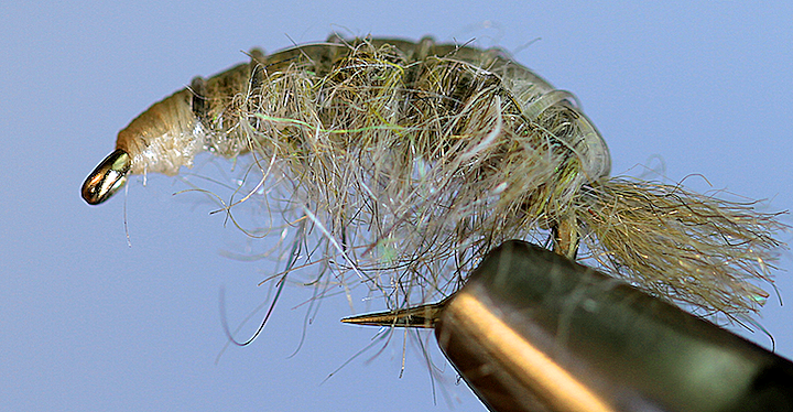 Lite Olive Molting Scuds