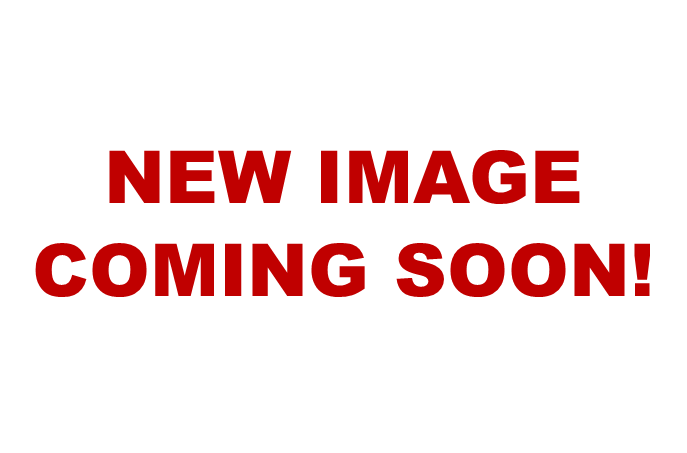 Pat's - Tungsten Bead Stonefly Nymph