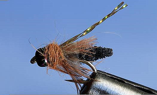 Rocky Mtn. Caddis black