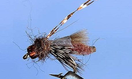 Rocky Mtn. Caddis brown