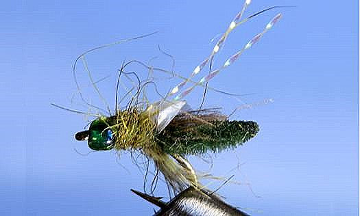 Rocky Mtn. Caddis olive