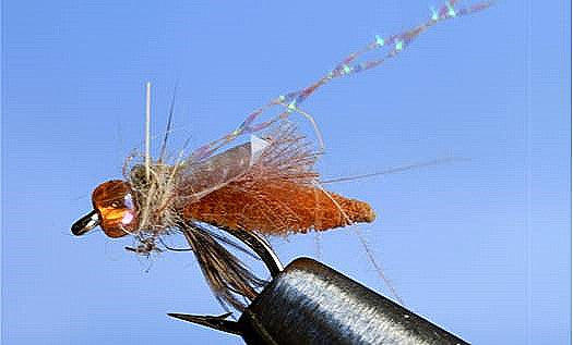 Rocky Mtn. Caddis orange