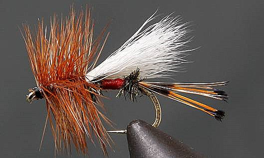 3 Pack Royal Trude Classic Hair Wing Dry Fly - Hook Size 16