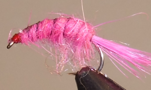 Scud Pink
