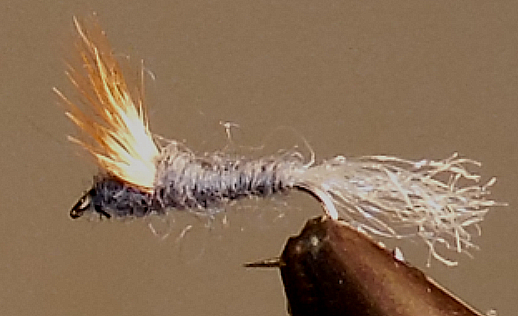 Grey Sparkle Dun