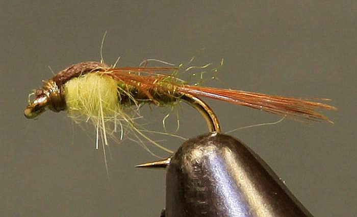 Split Foam Back™ PMD - Main Image