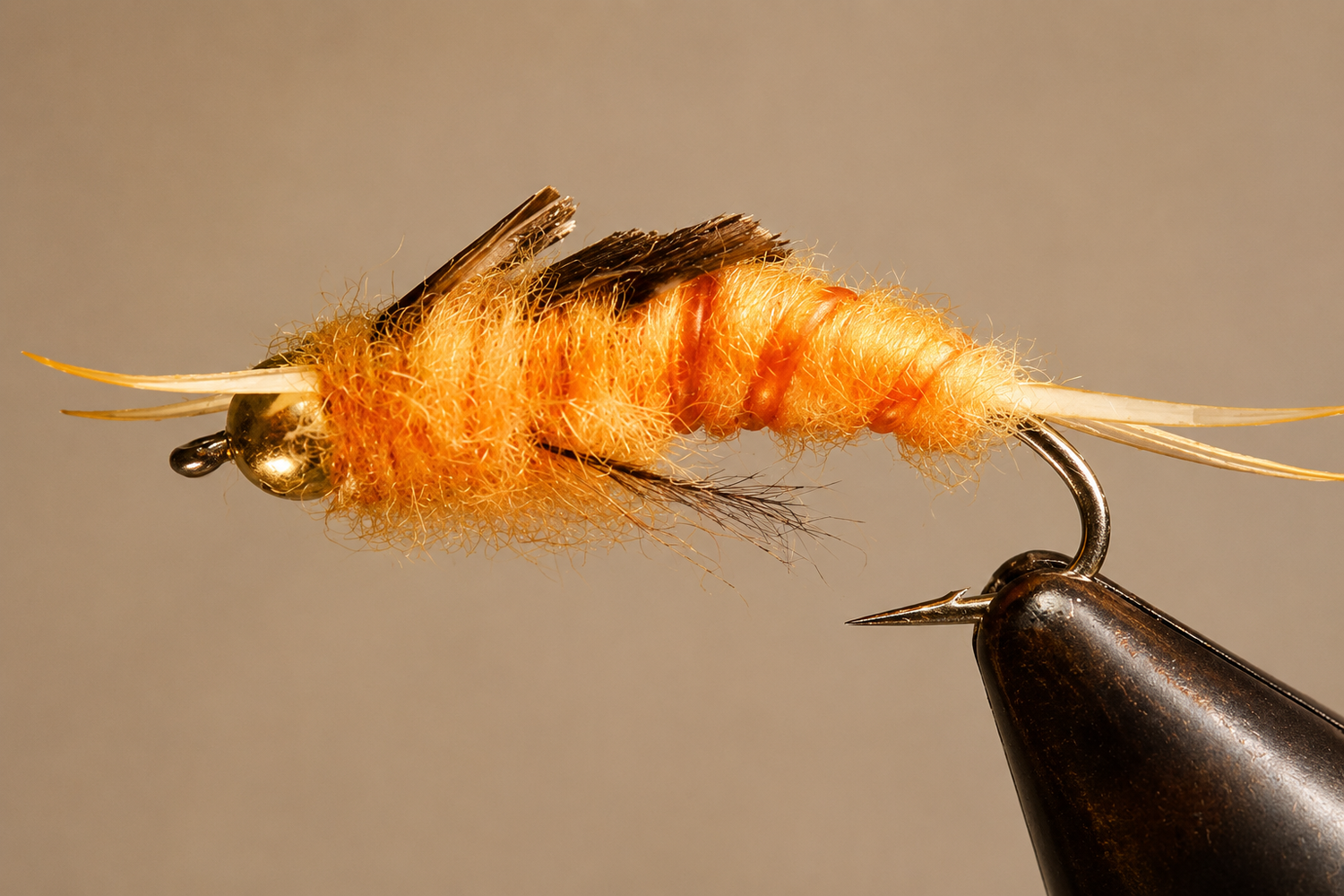 BH Stonefly Nymphs