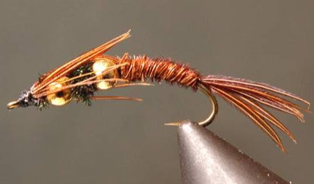 New - Stonefly & Salmon Fly Nymphs