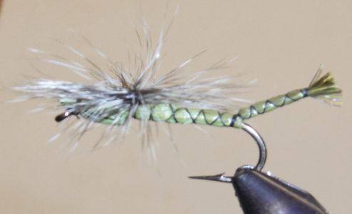 New - Lake & Pond Patterns