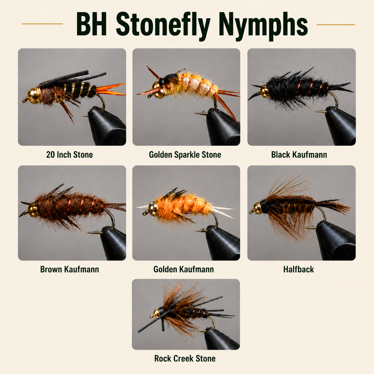 BH Stonefly Nymphs