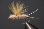RS2 Emergers