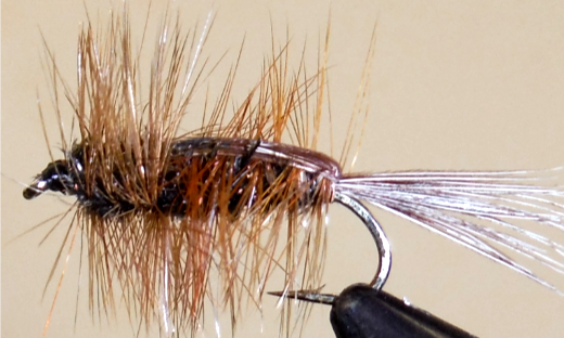 Halfback Stonefly Nymph