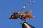 Rocky Mtn. Caddis - 5 Colors