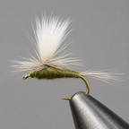 Blue Wing Olive