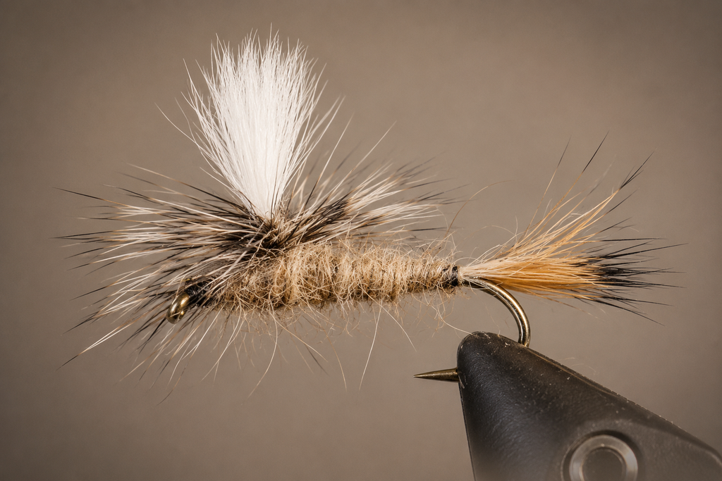 Caddis - Parachute