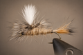 Caddis - Parachute