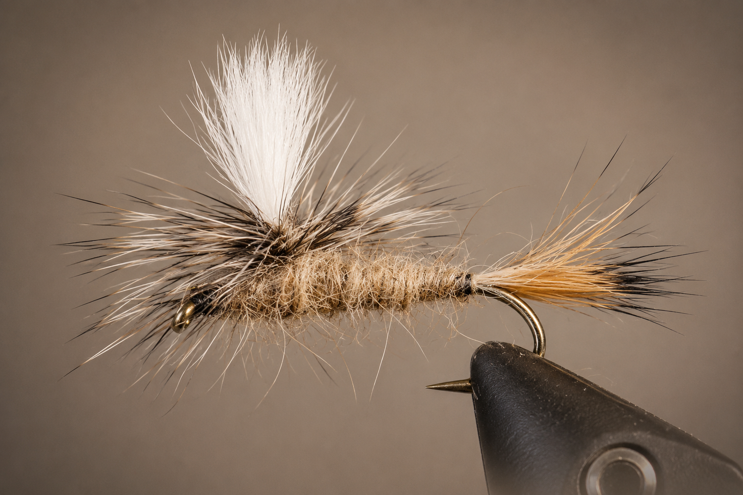 Caddis - Parachute