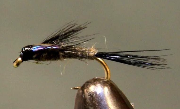 Purple Back Baetis - Image source: Stone Creek Outfitters