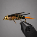 BH Stonefly Nymphs