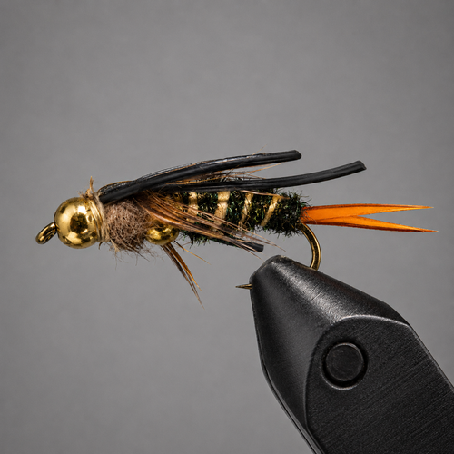BH Stonefly Nymphs
