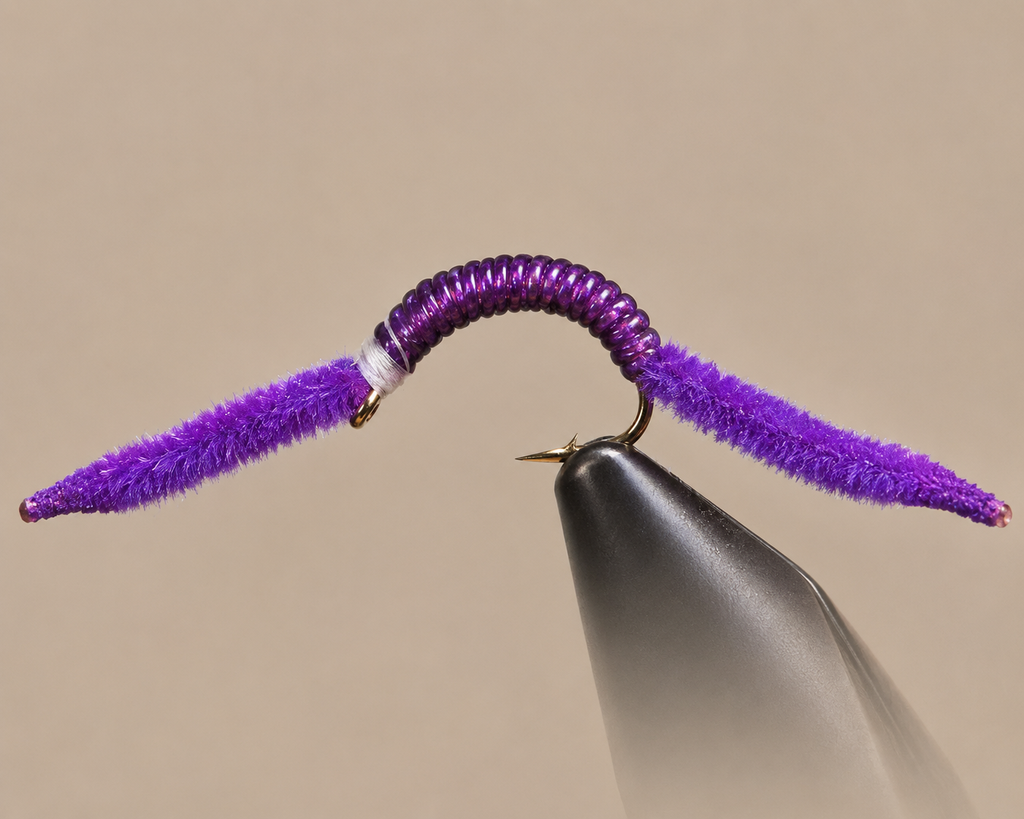 San Juan Worm