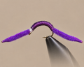 San Juan Worm