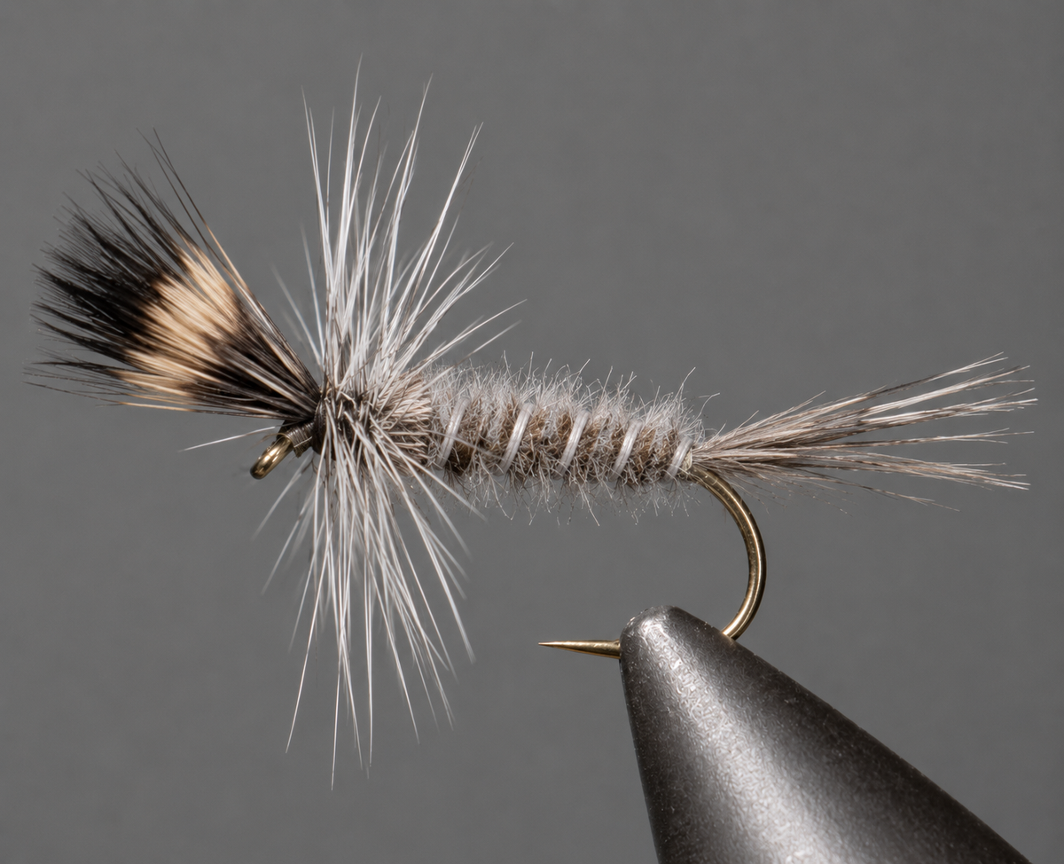 Grey Nymph Pattern Crane Fly Larva - Grey | Realistic Trout Nymph Pattern – Stone Creek ...