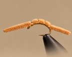 San Juan Worm
