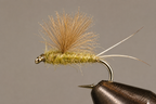 RS2 Emergers