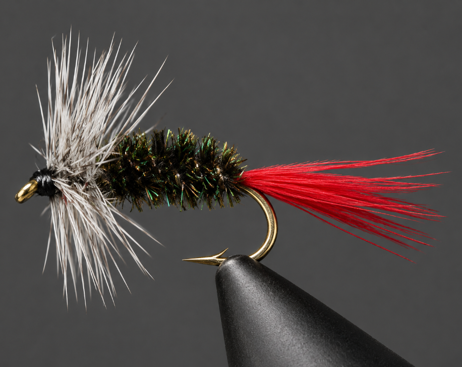 Grey Hackle