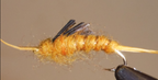 Giant Kauffmann Stonefly Nymphs