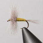 Blue Wing Olive