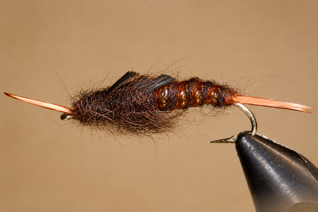 Giant Kauffmann Stonefly Nymphs