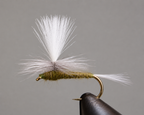 Blue Wing Olive