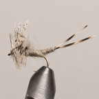 Extended Body Mayfly