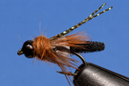 Rocky Mtn. Caddis - 5 Colors