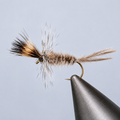 Callibaetis Cripple
