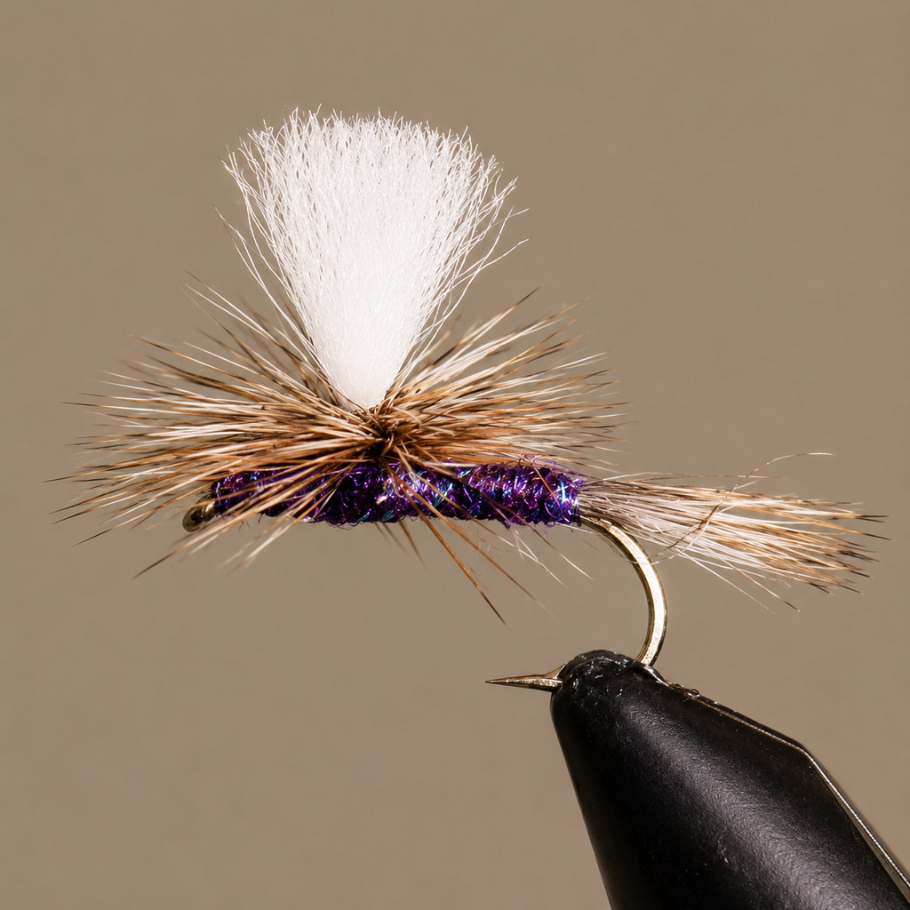 Purple Haze - Parachute
