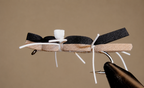 Chernobyl Ant